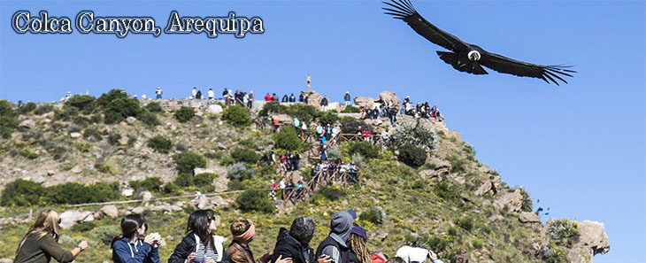 Arequipa, Colca Canyon